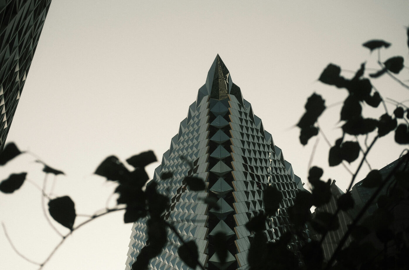 A distinctive modern tower framed by foliage